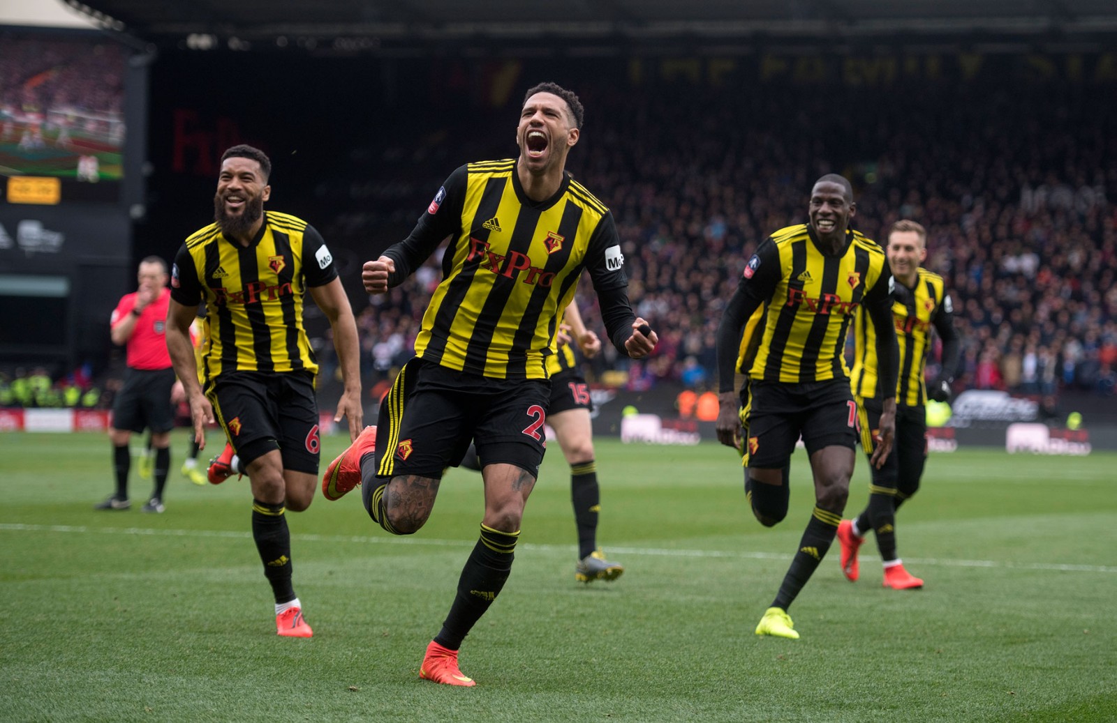 沃特福德客场逆转富勒姆，继续走高的简单介绍